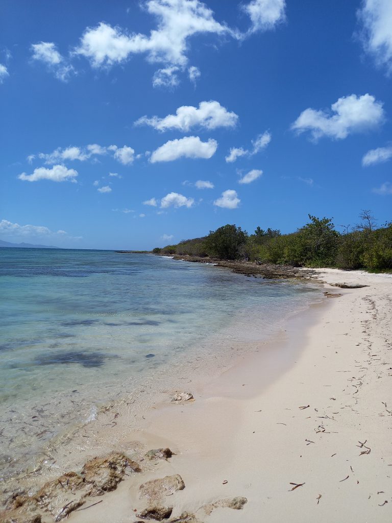 Plage sauvage sur la côte Nord Grande-Terre, Guadeloupe
